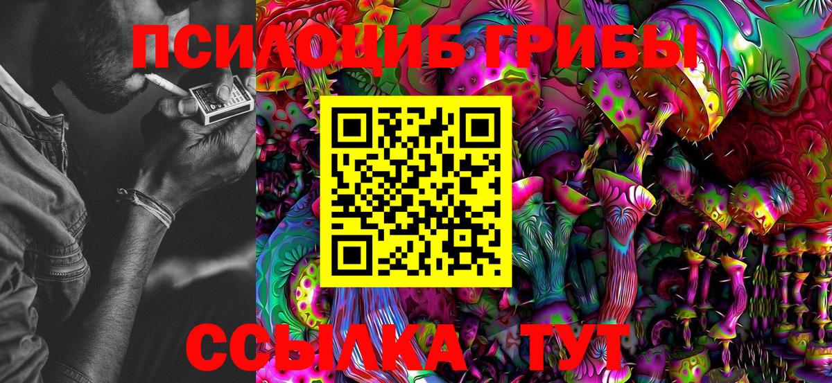 Псилоцибиновые грибы Psilocybine cubensis  Вход с VPN  Зима 